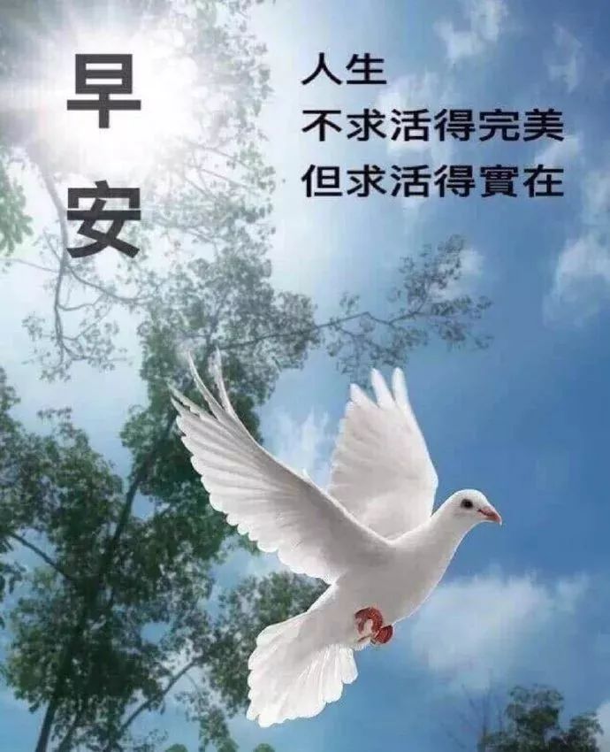 感恩节清早问候大家早上好的早安祝福语图片，相遇最美、感谢有你图片