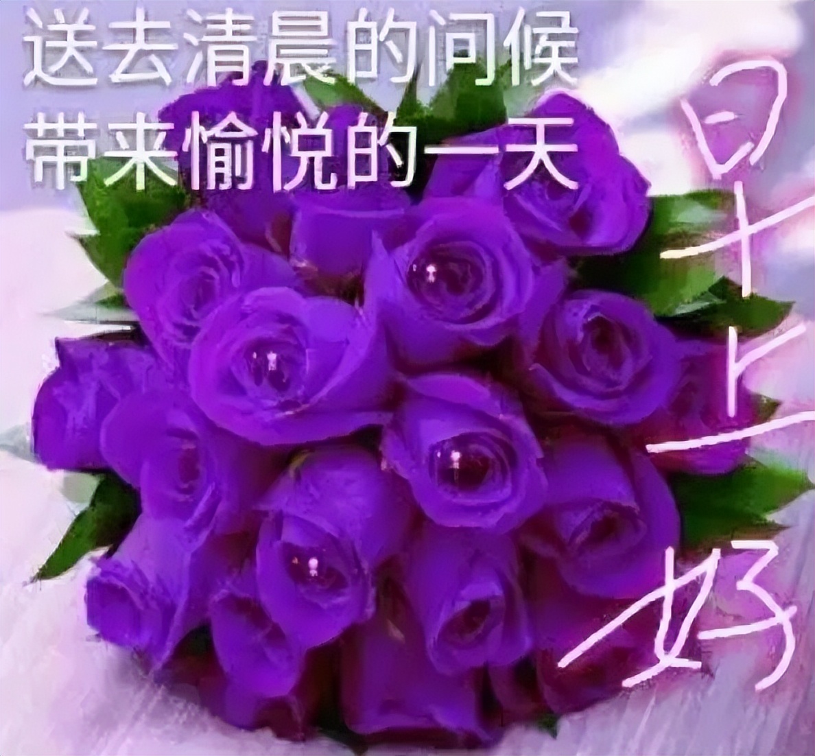 新的一天早安心情说说句子 心素如简，人淡如菊 君子相交，随方就圆图片