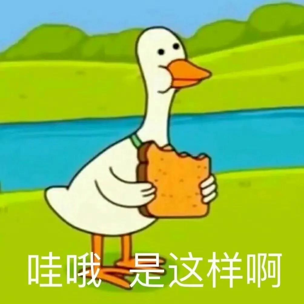 转我五百