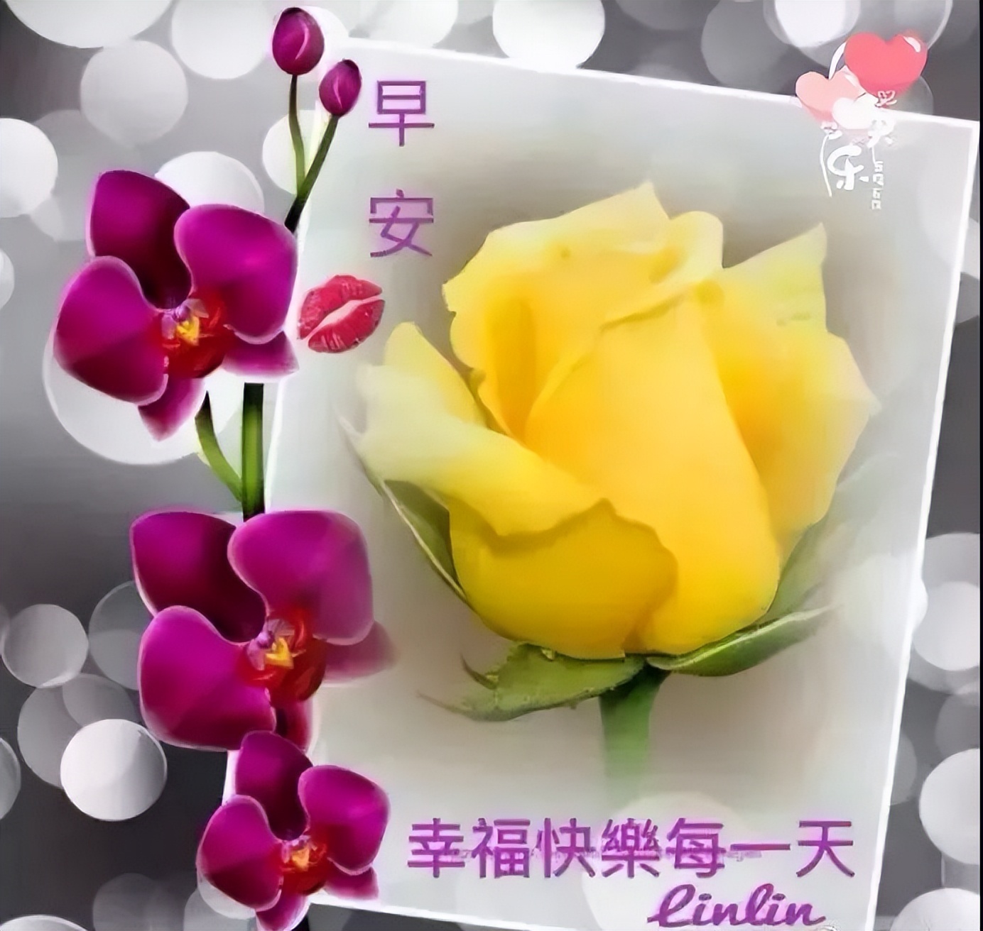 周五清晨早上好暖人心的祝福短信，祝福朋友事事顺心、事事美丽图片