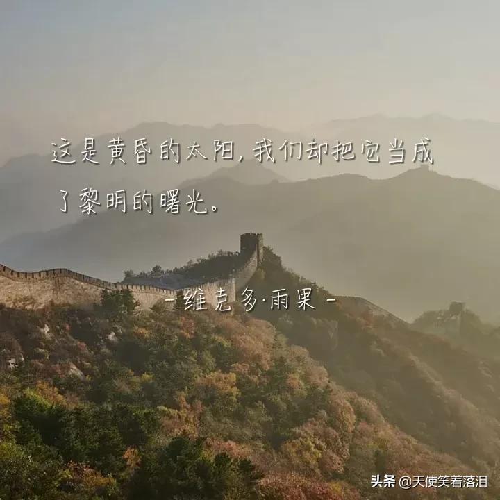 简短好句分享(消失宾妮经典语录)