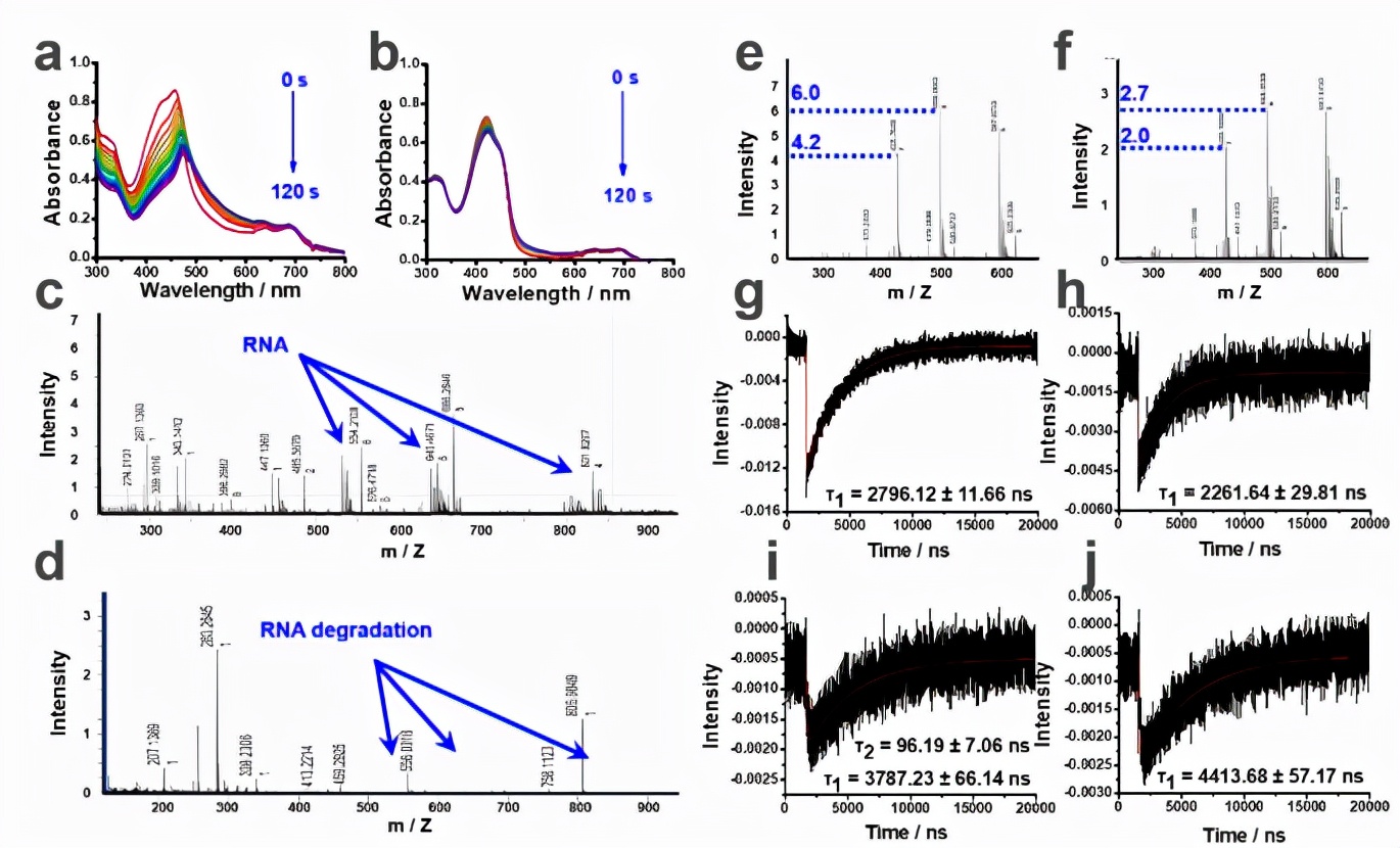 国际关注！辽宁院士团队取得肿瘤治疗重大突破，或可作为肿瘤疫苗！