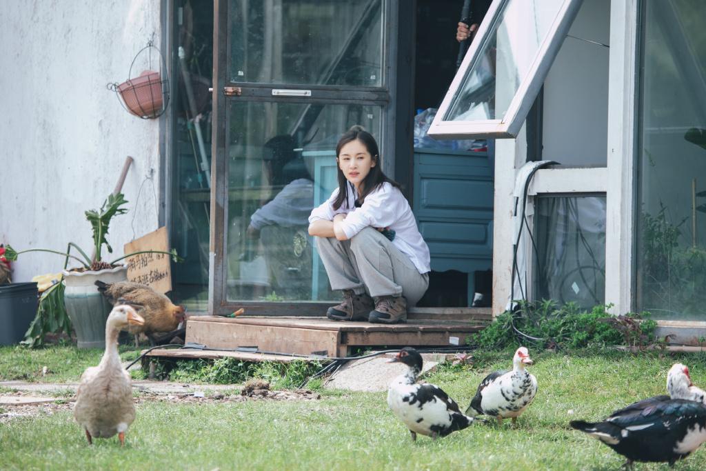 没主持人却让容祖儿张翰泪崩，先锋实验《牧野家族》为何打动人心