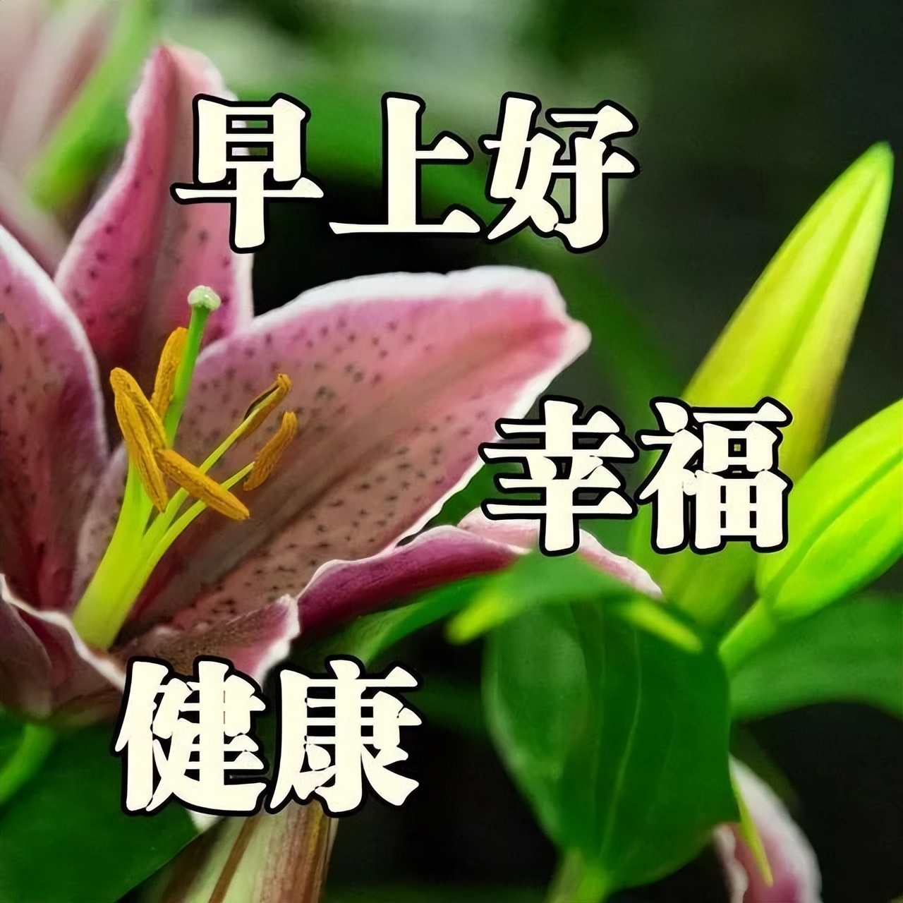 9月最新版早安问候祝福语图集 一分真诚，二分问候，三分祝福图片