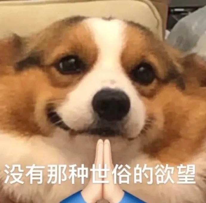 十则笑掉大牙的搞笑段子，大家快点进来一起笑啊