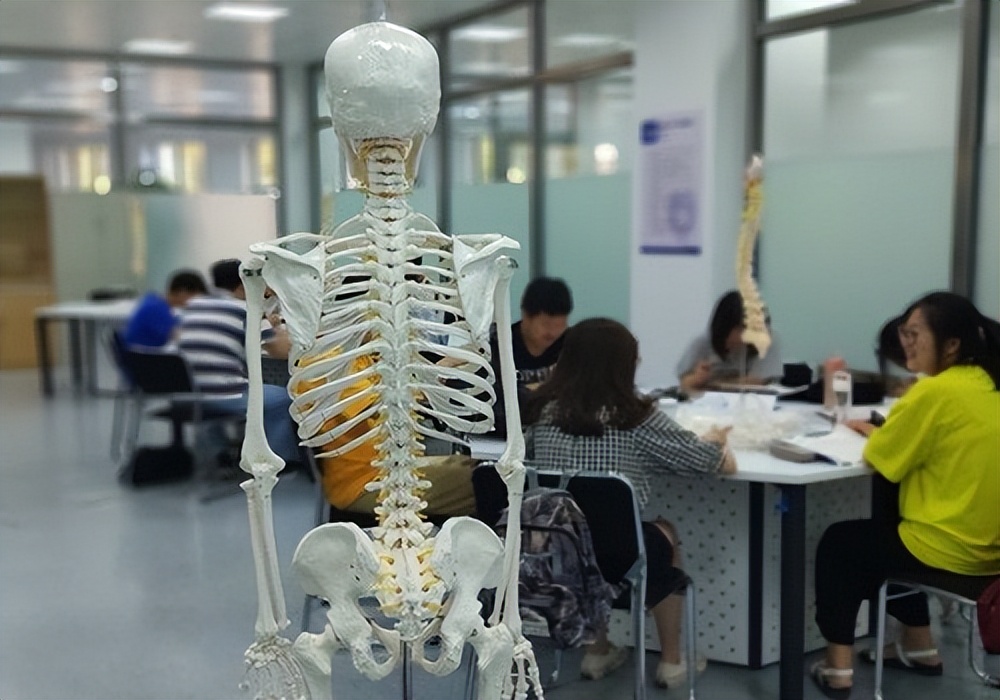 智能医学工程专业｜携手智能医学，“医”起拥抱未来