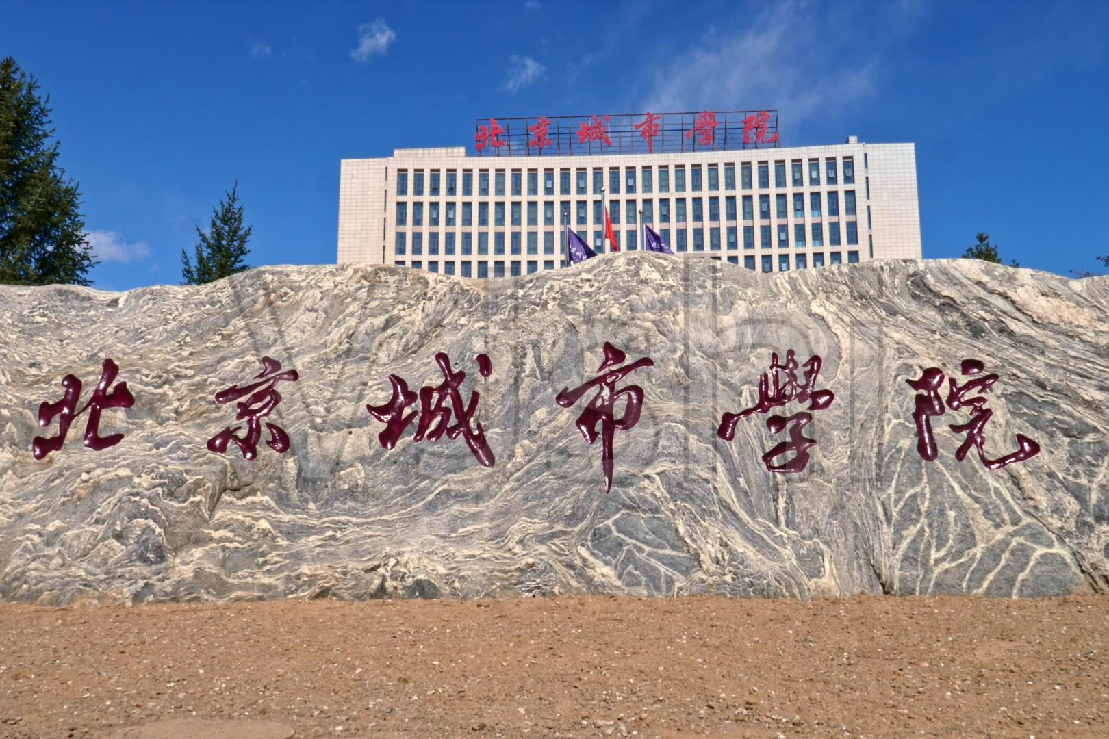 上涨！山东省2022年美术统考成绩可查，最好考的大学需要多少分？