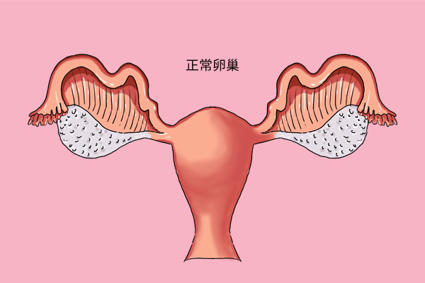 女性进入更年期，警惕3大肿瘤对你“虎视眈眈”，教你提前预防