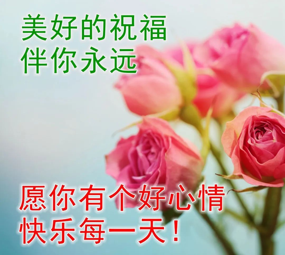 早上好祝福语录精选 早安表情包推荐 幸福手牵手，美好连成片图片