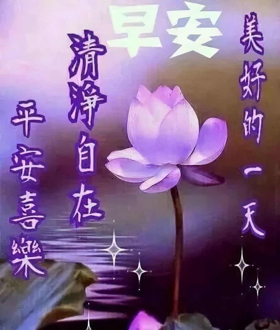 创意的早上好表情包动图祝福语 人之相交交于情，爱之相伴在于懂图片
