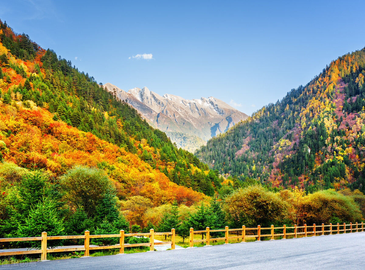 山之壮丽，山之秀美