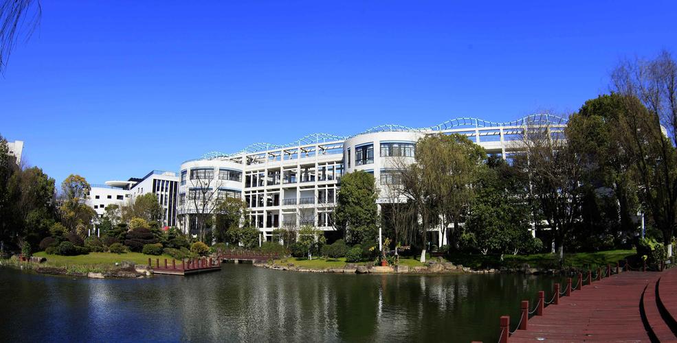 杭州95后女教师，入职四年就当上副校长，引起网友质疑