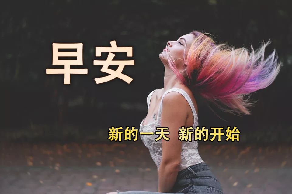 早安问候,感恩相遇,珍惜友情,祝您健康快乐，幸福阳光，如意安康图片