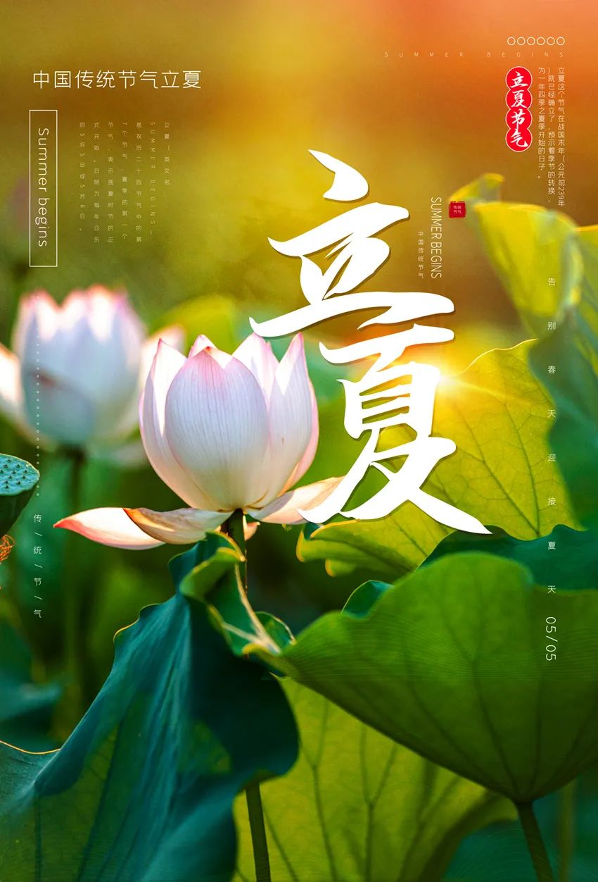 立夏:炎暑将至万物长,日光明媚且张扬.