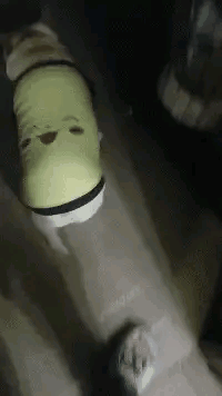 女朋友出差了，说去了上海出差，还给我发来了一张这样的照片