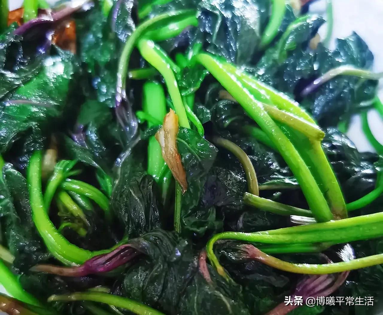 四川美女从上海回老家当会计，晒出午餐伙食走红，发小：想回来