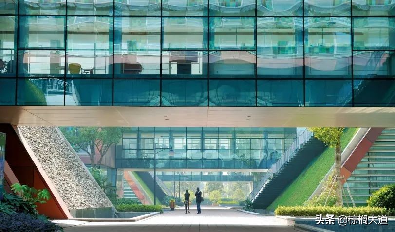 疫情持续，“不出境”留学成为新趋势？高含金量中外合办硕士盘点