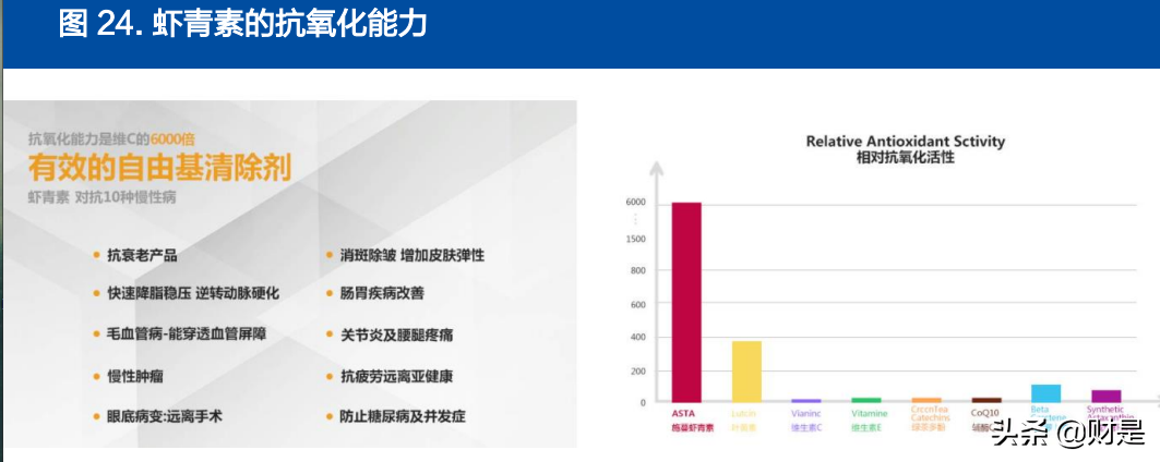 金城医药研究报告：生物合成与化学合成双平台能量开始爆发