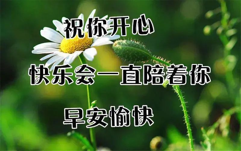 周二早上好祝福语，真心祝福朋友一生平安 祝你开心、早安愉快图片