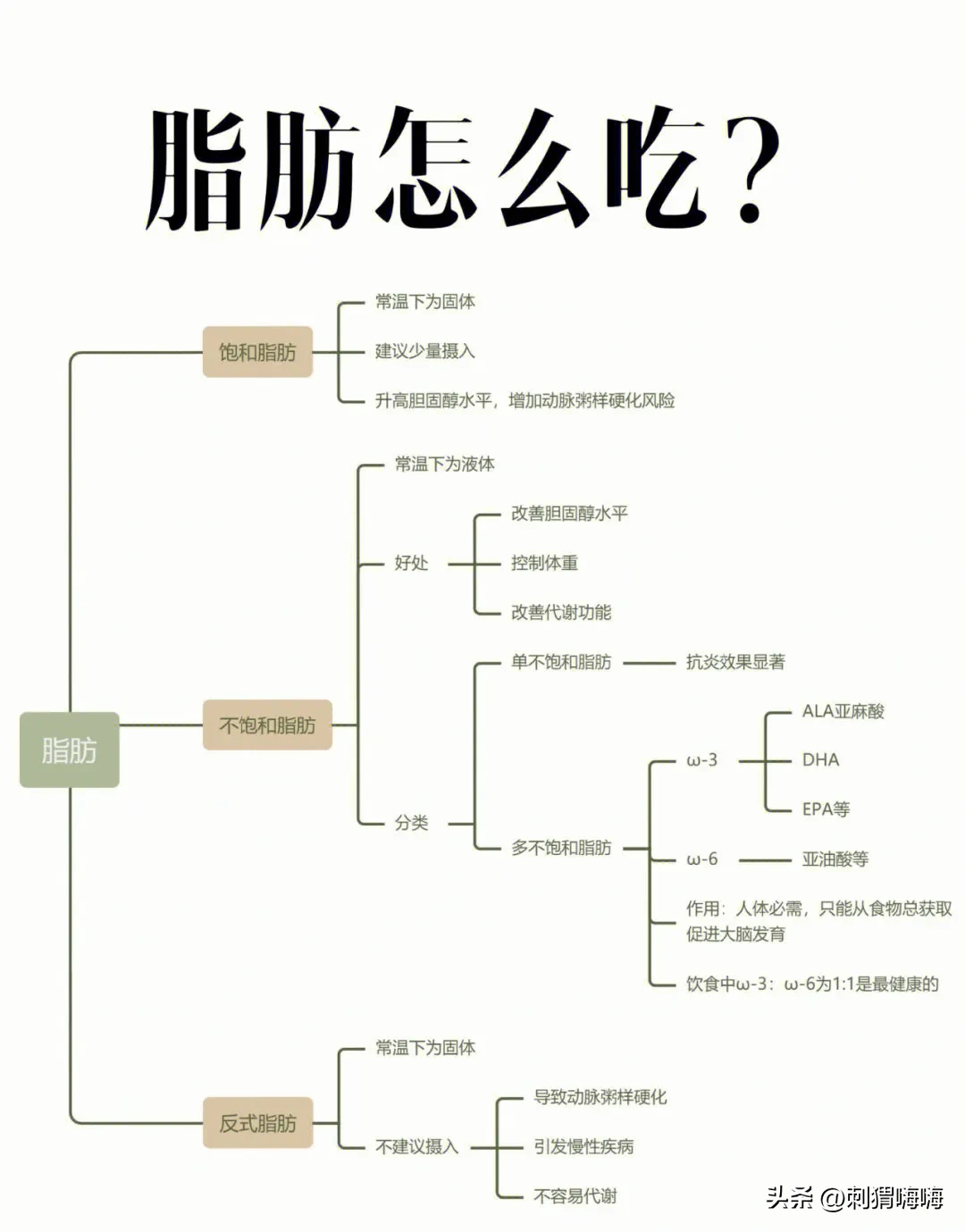 食用油到底什么含义(食用油都有什么区别和用途what看完就能懂了烟花在我们日常生活)