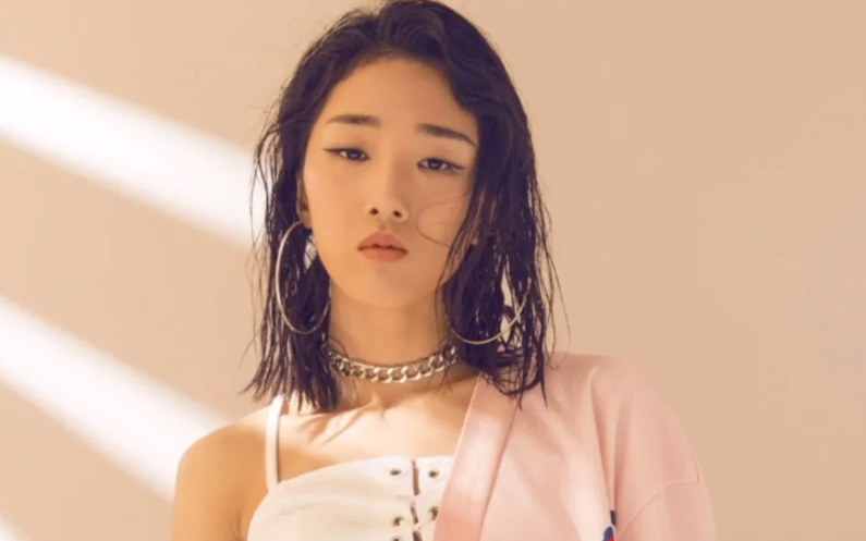 那些当老板的明星：玲花丈夫骂旗下艺人丑，冯小刚公司被起诉