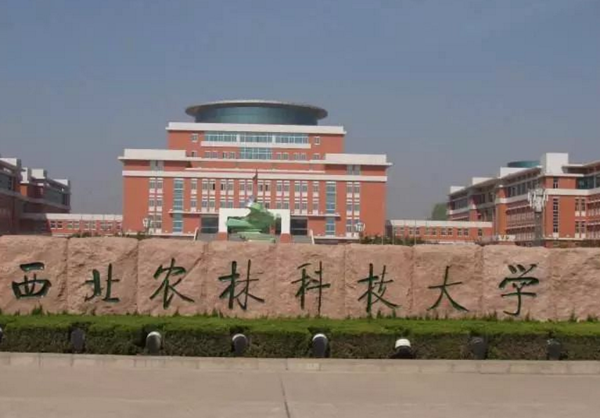 如果重评985高校，北邮、上财、央财必有一席之地？现实很骨感