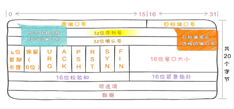 图解TCP、UDP，流量控制，拥塞控制，一次看懂