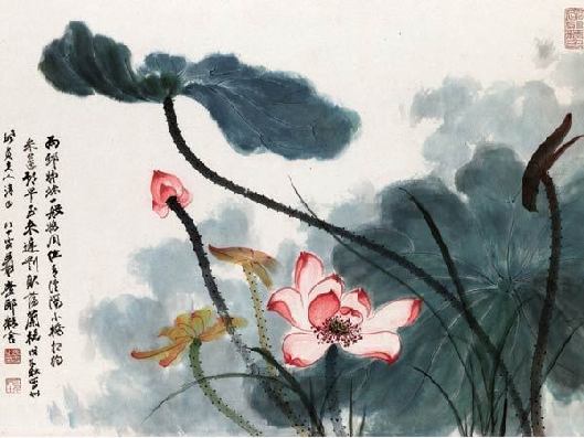 《你好，中国花语》繁花知语意，岁月留情长