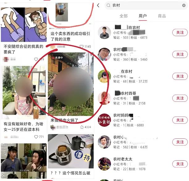 不止“张同学”，互联网到处是“农村”网红