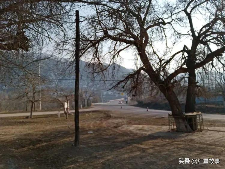 在那遥远的地方——布拉克沟的大兵