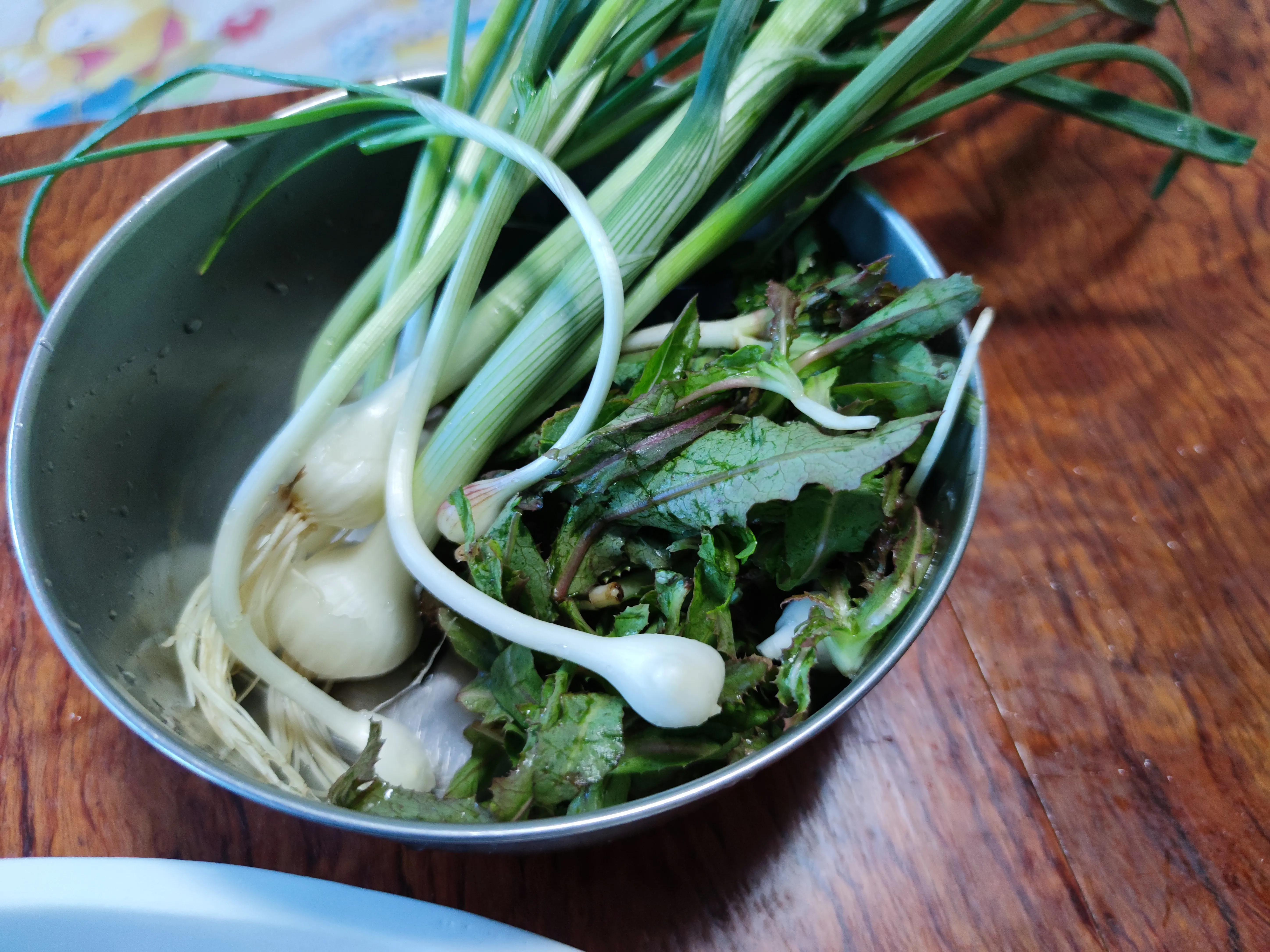 这是今天最受欢迎的一道菜,野蒜,曲麻菜和婆婆丁