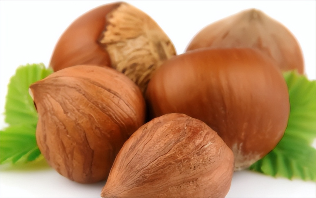 榛子怎么读？榛子的读音和意思