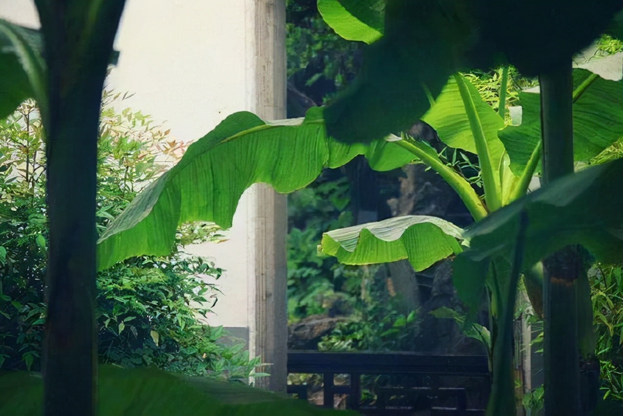 赵明诚去世后，李清照雨夜思念丈夫孤枕难眠，她写下最唯美的孤独