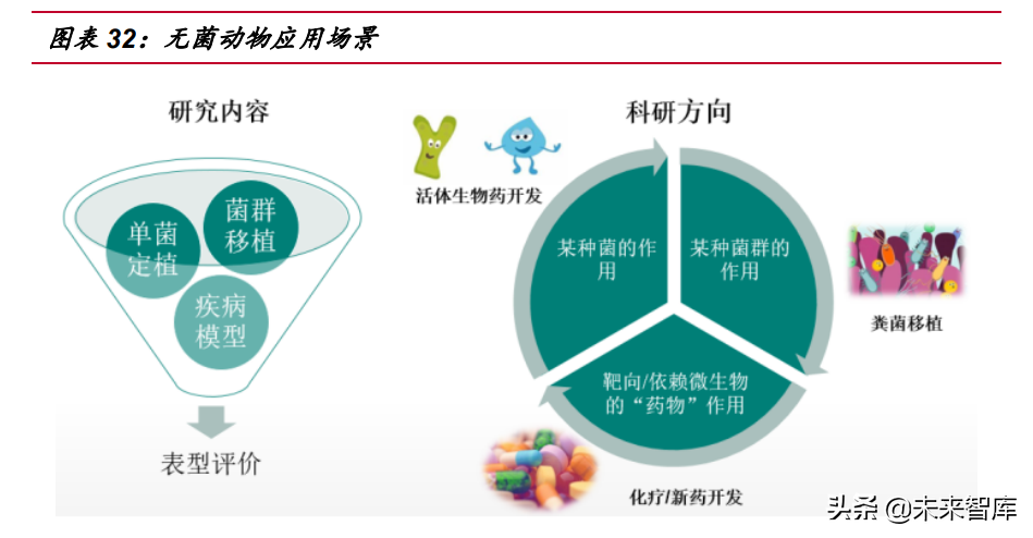 医药行业深度报告：医药研发热情高涨，模式小鼠方兴未艾