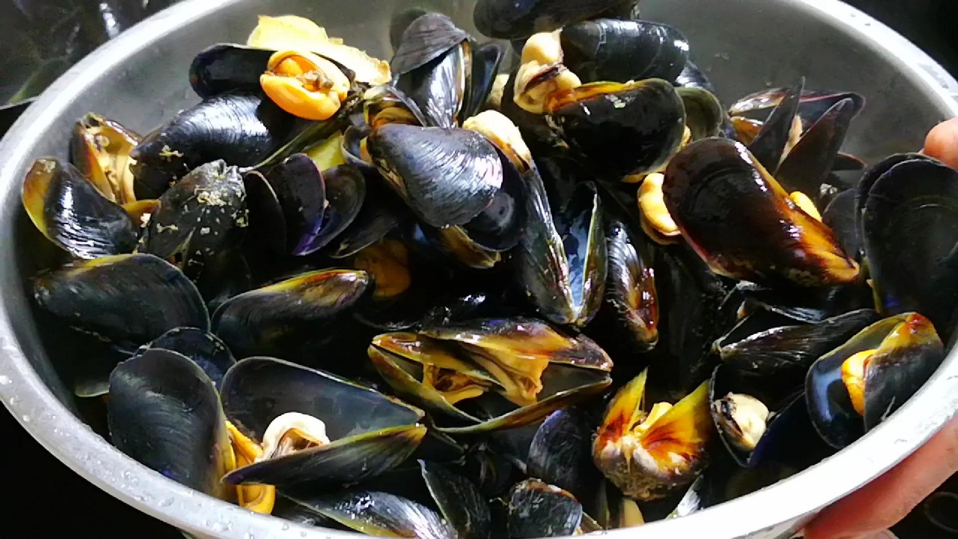 常见海鲜的名称和图片(盘点15种常吃的小海鲜) - 赤虎壹号