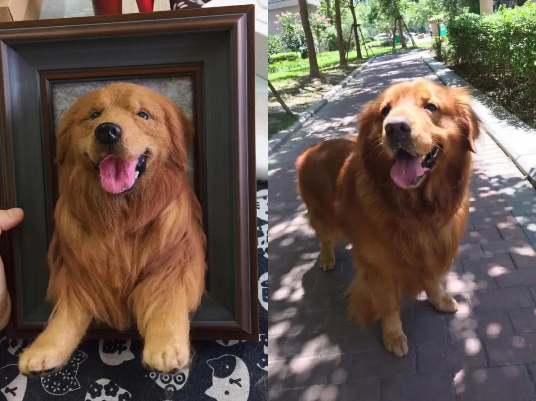 DIY手工创业——大学生篇丨抓住风口，轻松打造网红潮店