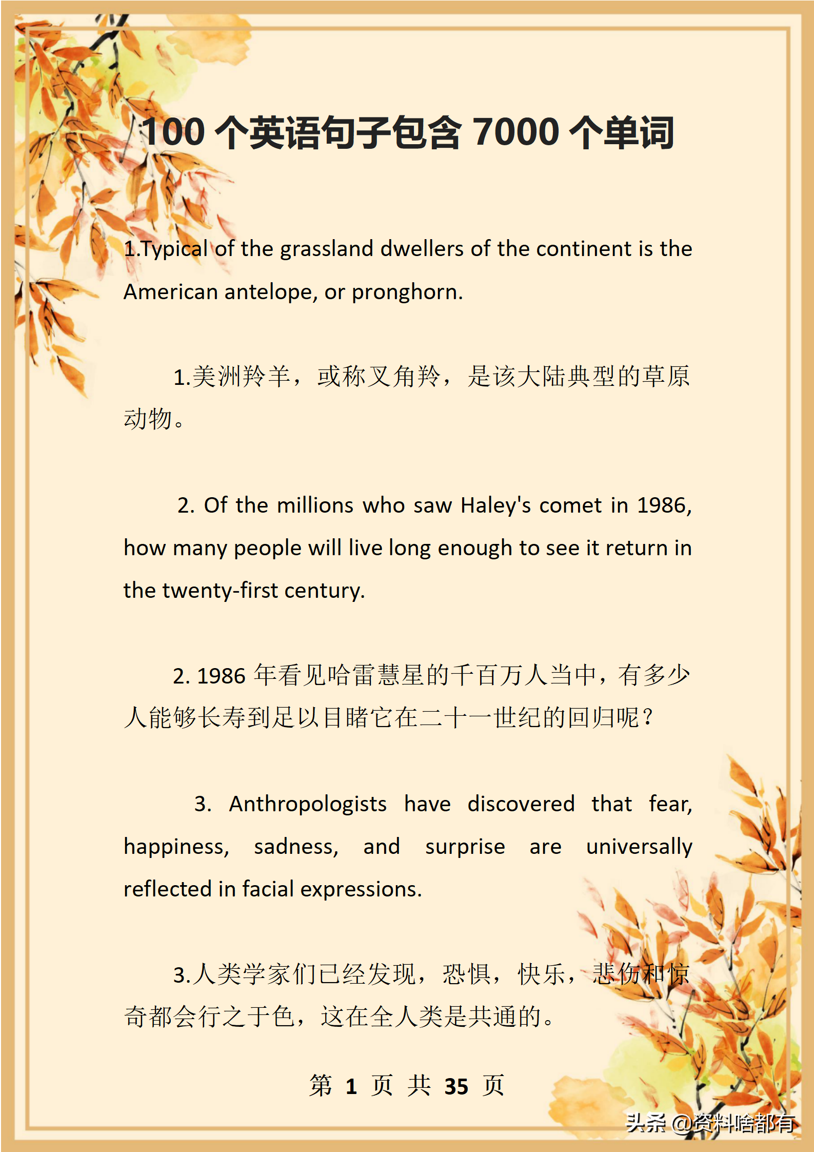 精编句子单词训练：提升语言表达力的高效方法