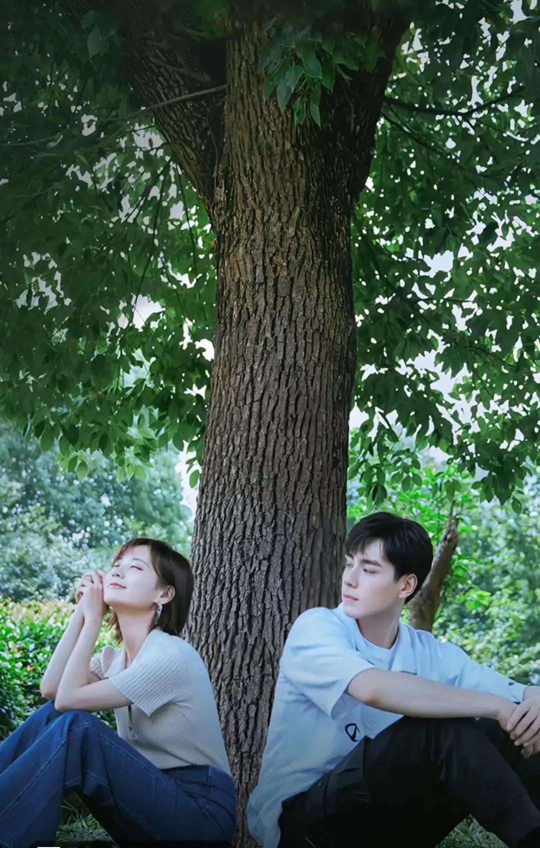 手机大片，女星毛晓彤、李一桐、白鹿和安琦