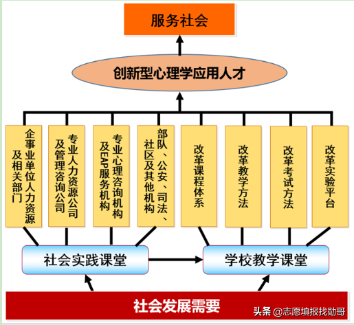 00后最感兴趣的专业数据出炉，就业可能是一个大坑