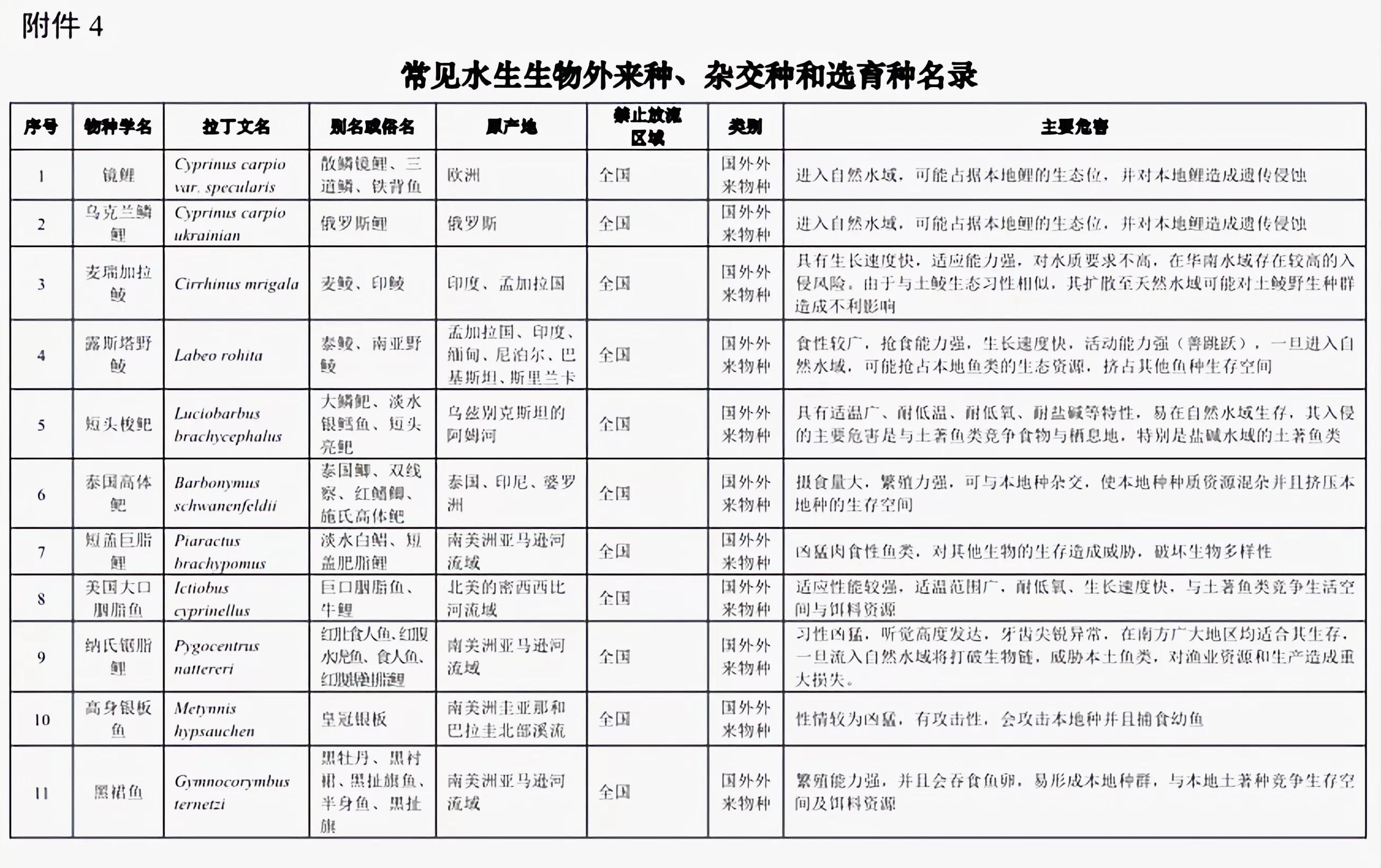 铁背鱼长什么样，95种禁放水生物图片介绍