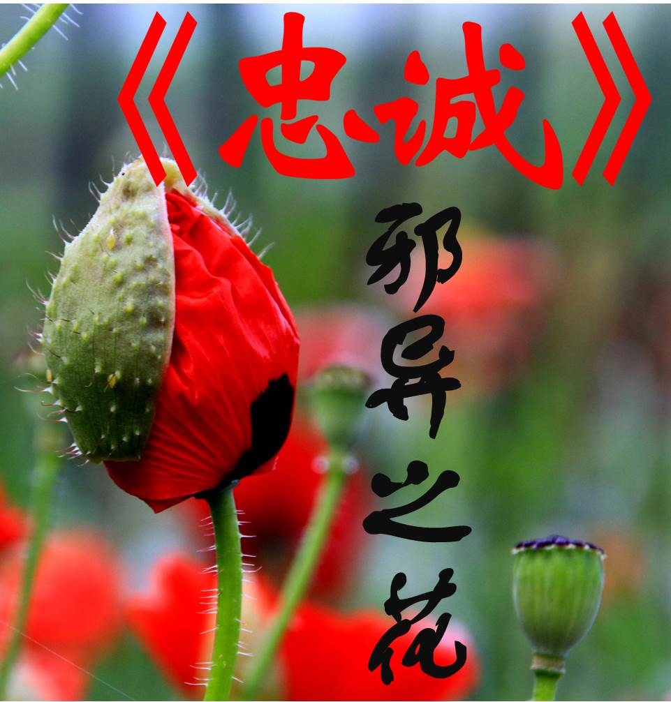 忠实的季节邪恶流动-22
