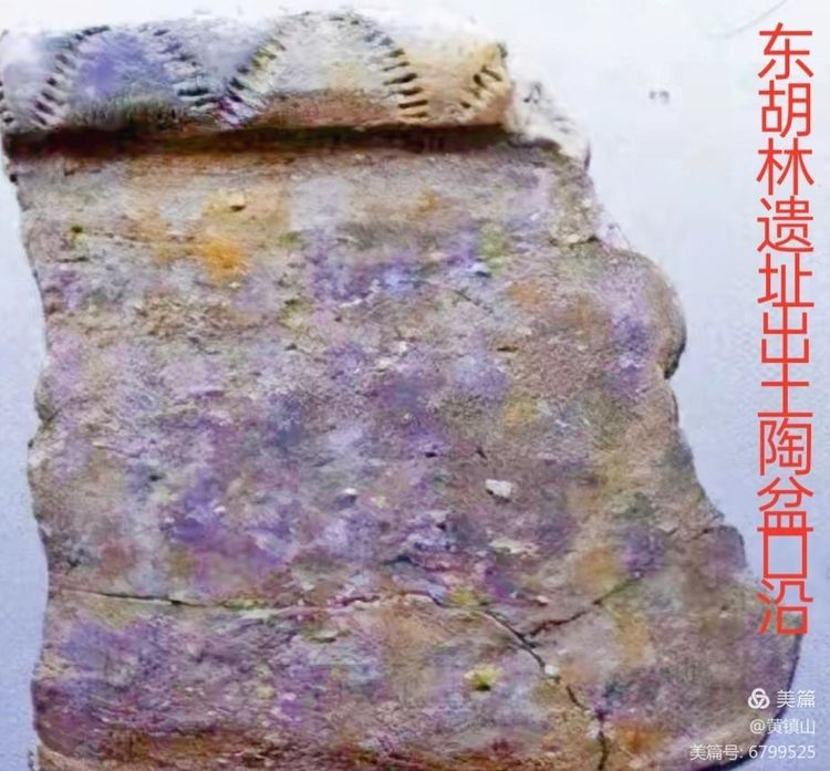 黄镇山：世界陶稻黍文明起源中国万年前