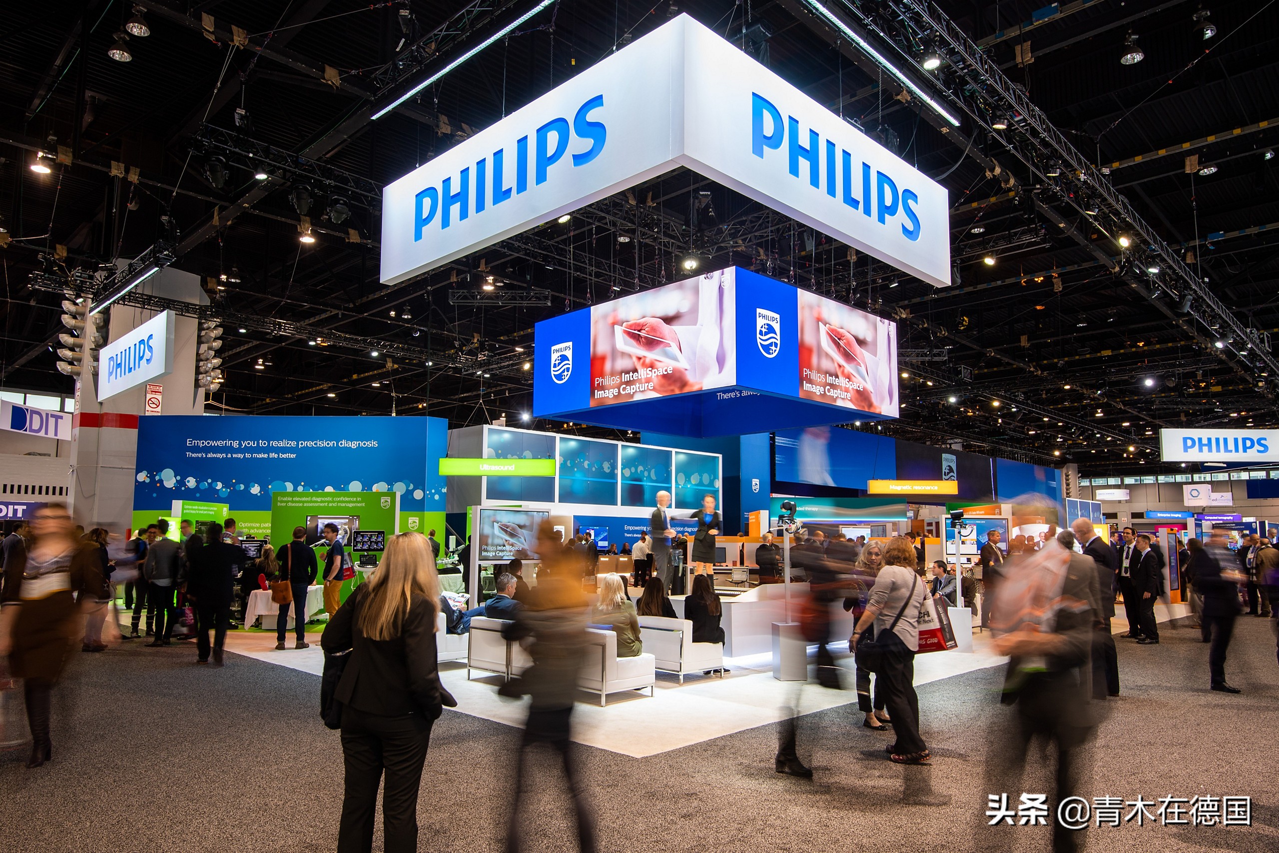 ��ý������Ͷ��ŷ��һ֦���㣬��������֮һ��ȫ��Ͷ��14�������