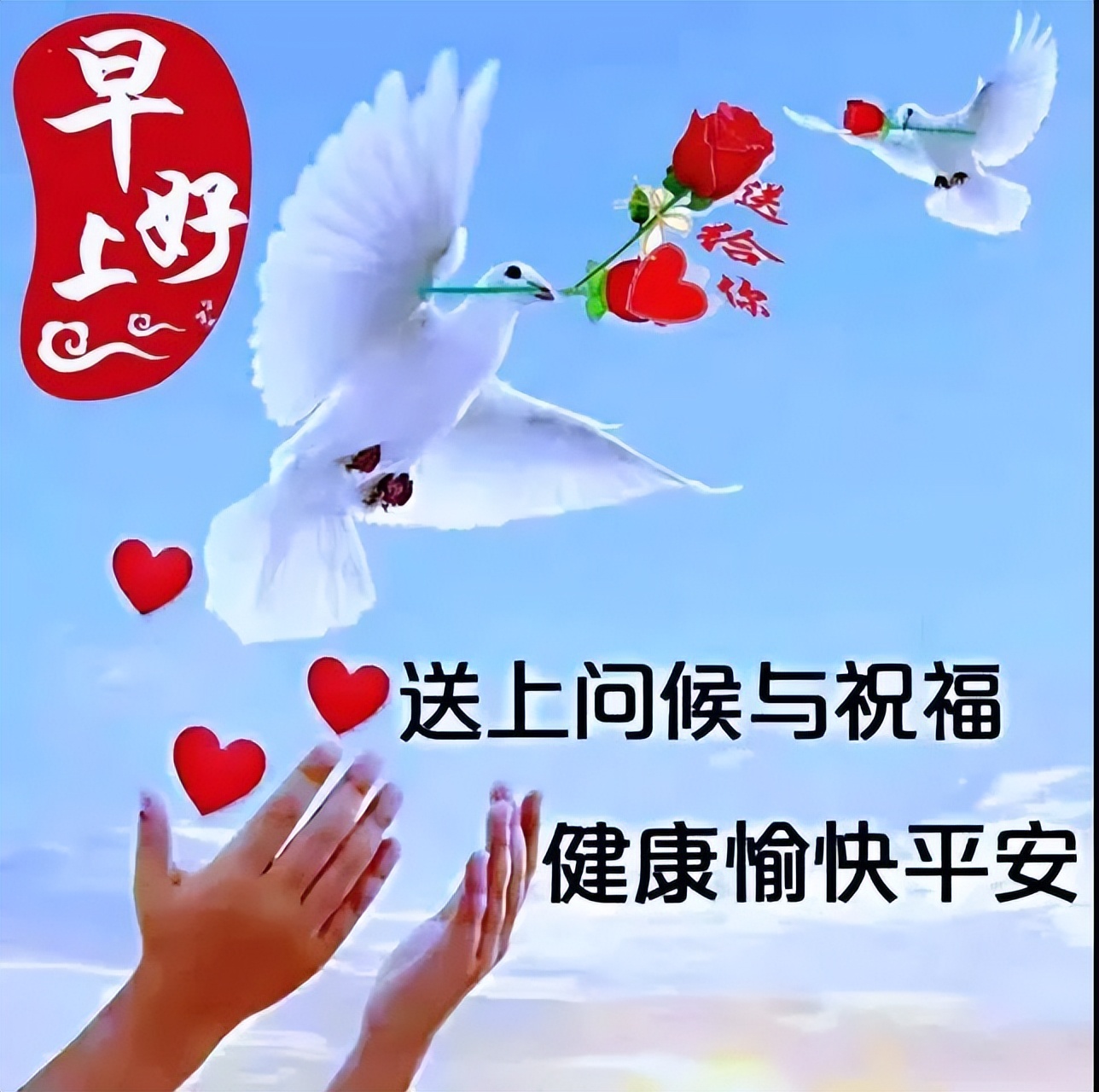 周二早上好漂亮的带字祝福图片表情包大全 祝你平安幸福、日日安康图片