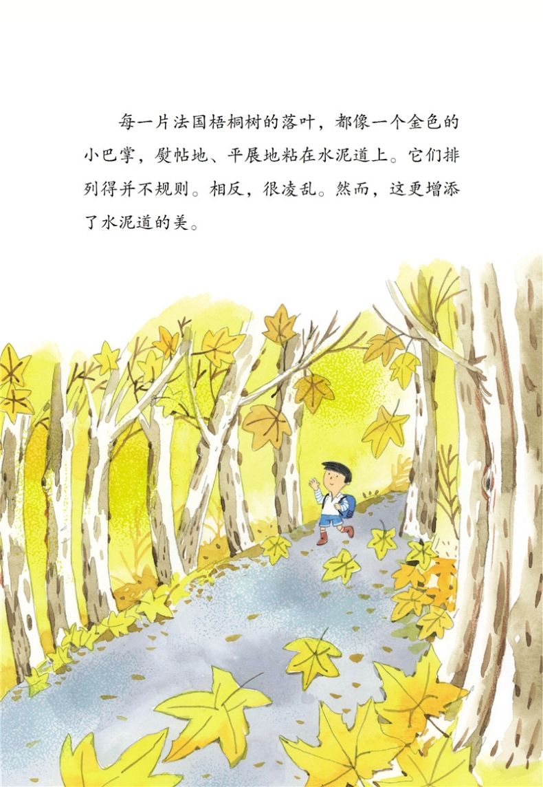 带孩子感受春花、夏风、秋月、冬雪的美好四季