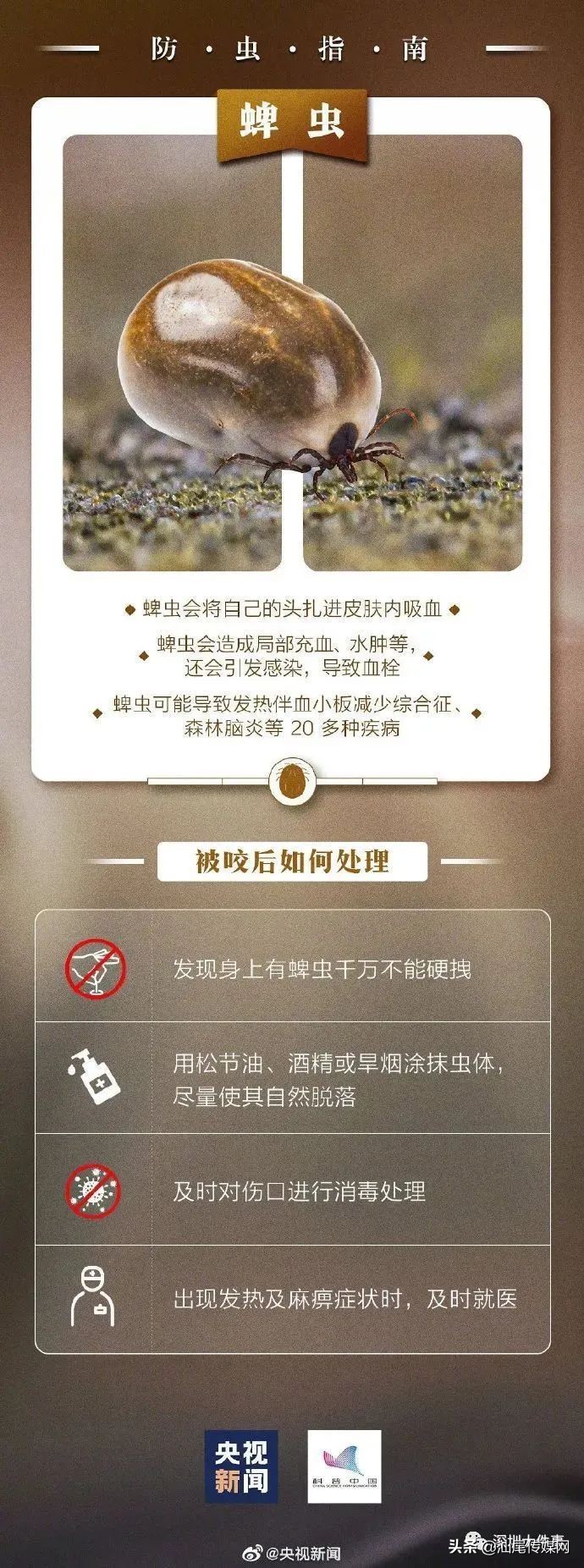 当心这小虫，有人被咬后进急诊！广东户外很常见