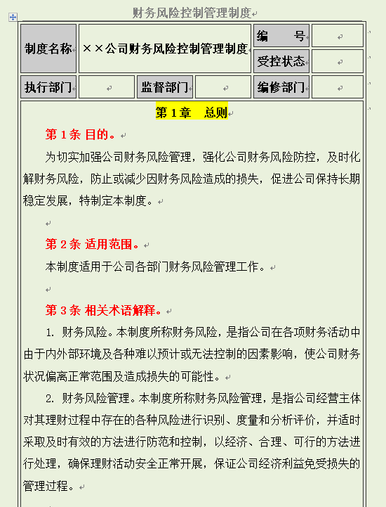 财务风险控制管理，从基本原则到管理监督与评估，可直接套用
