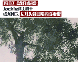 哪十位演员最能代表香港电影？