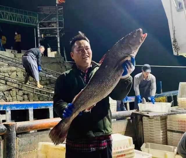 宁海渔民捕到一条7斤野生大黄鱼，卖出4.2万！大黄鱼凭啥这么贵？