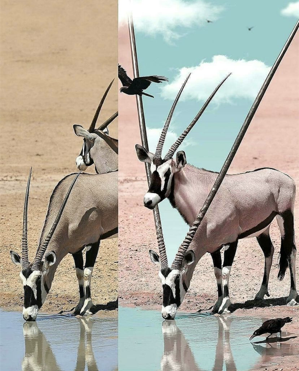 是一位脑洞大开的艺术家,通过他这一种略带有童话趣味的幻想手法,幻想